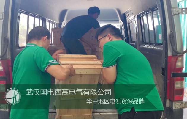 便攜式阻容法SF6微水儀,氧化鋅避雷器帶電測(cè)試儀